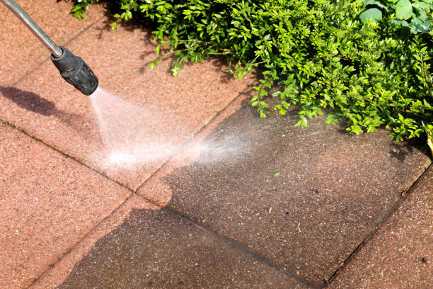 Best Pressure Washing Patio  in Indianola, WA